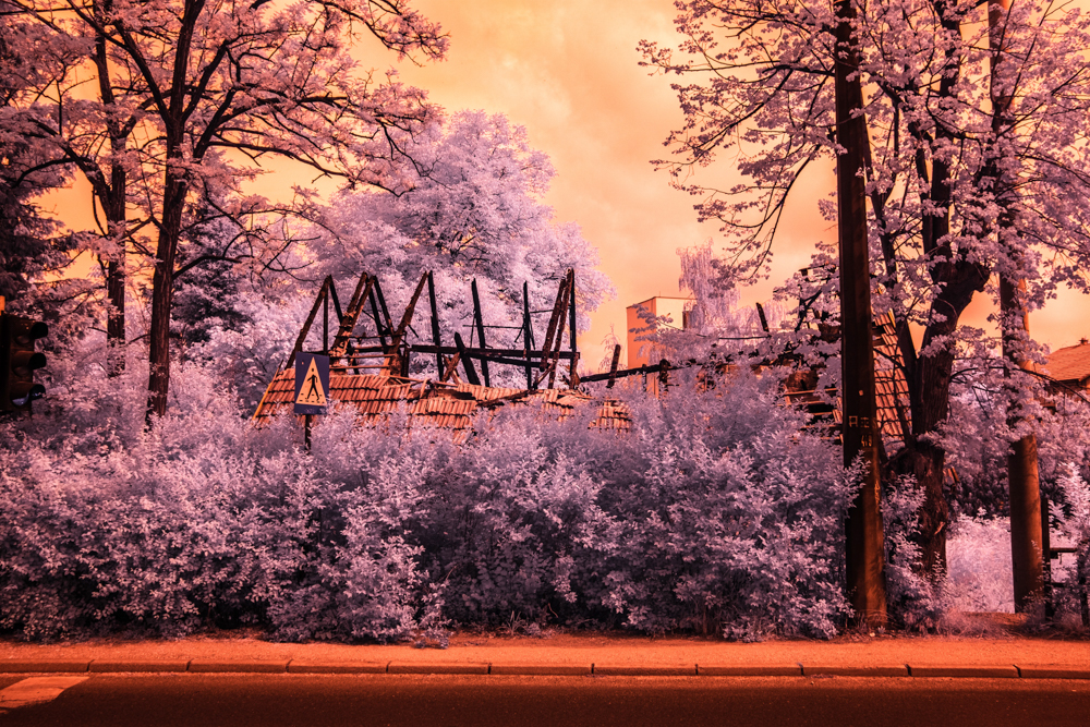 Another Sarajevo – Poetry and Photography Project