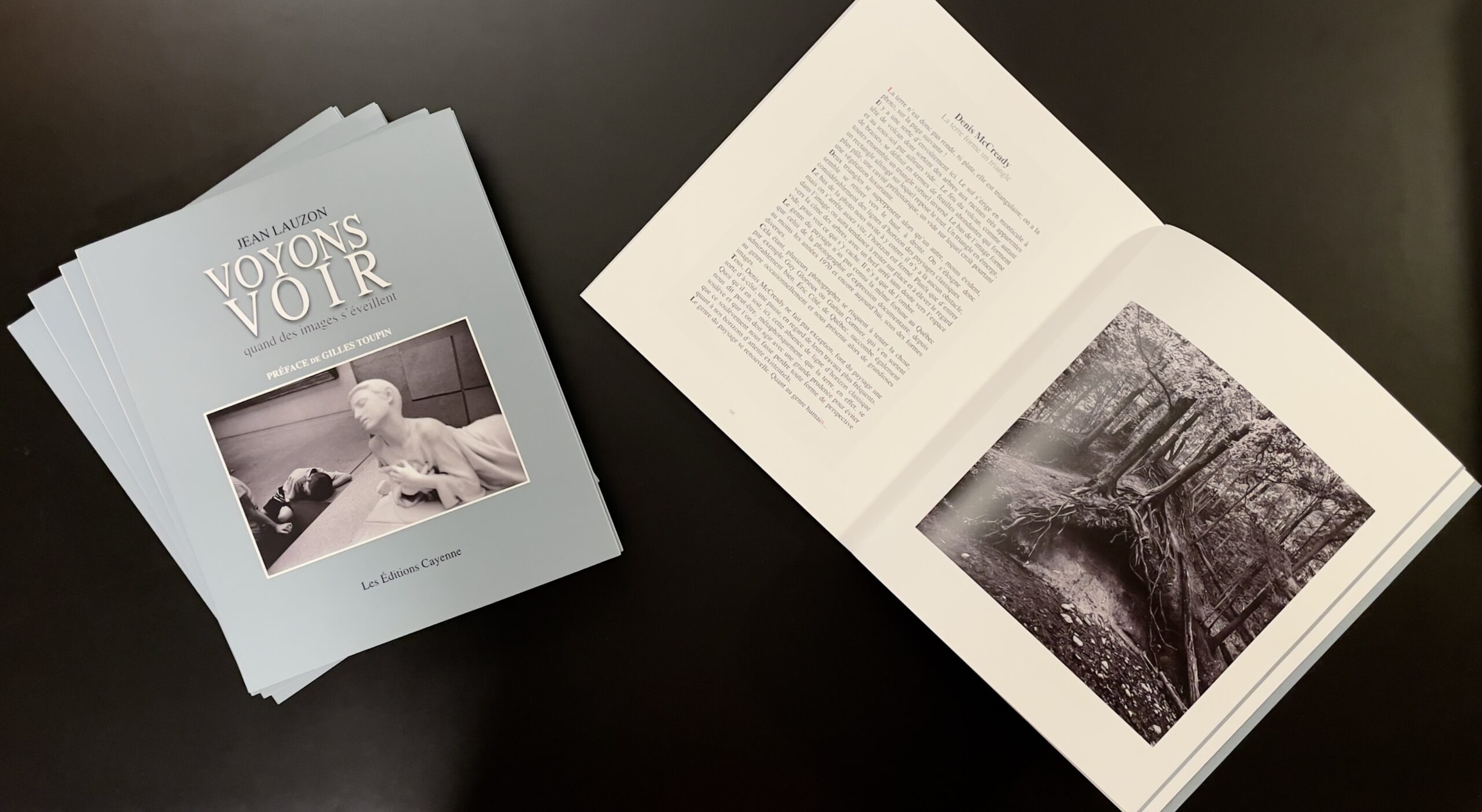 VOYONS VOIR – quand les images s’éveillent